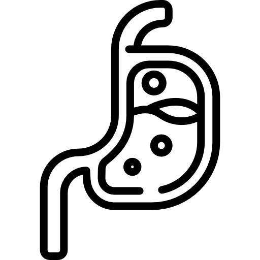Hepatologia